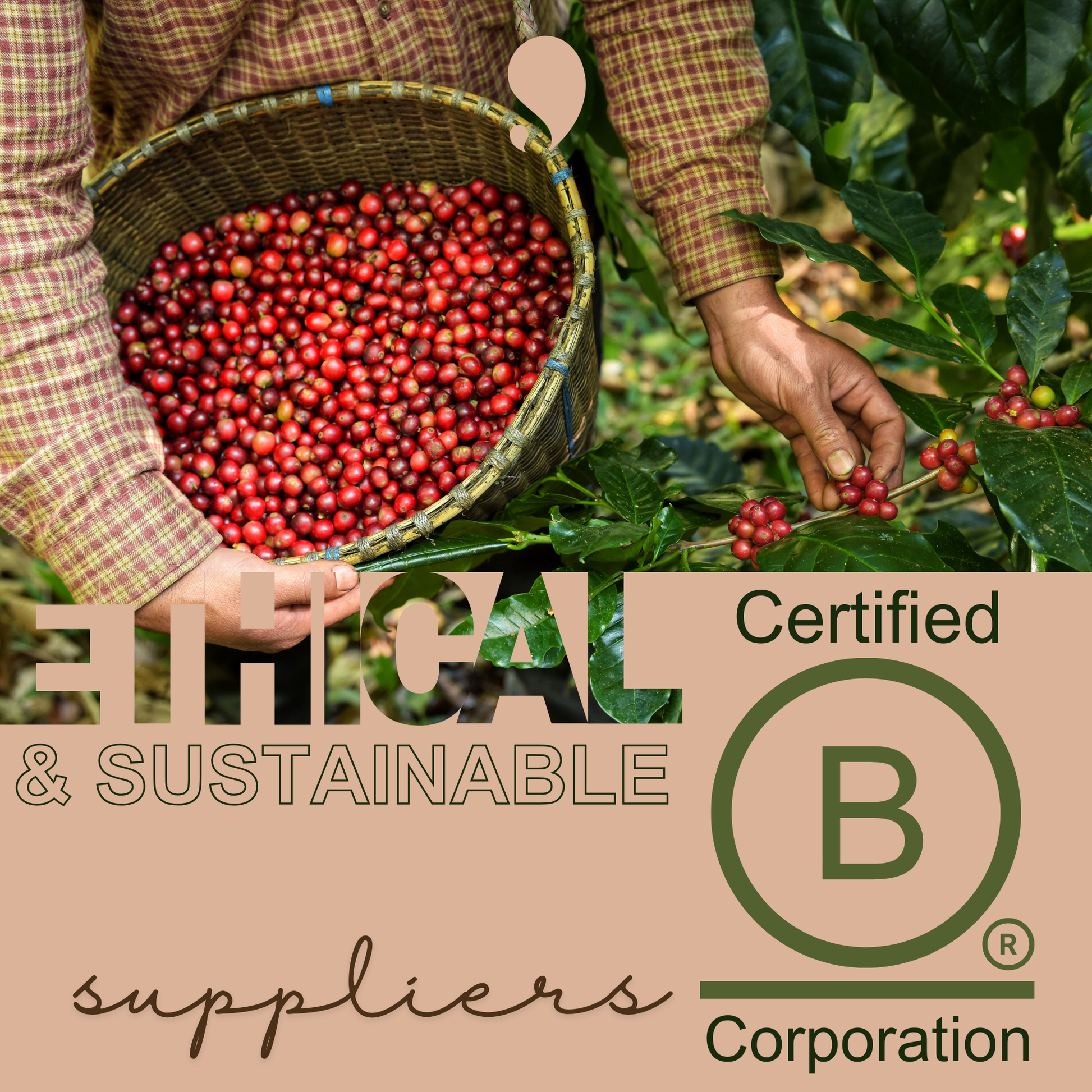 Aureatoir.com-ethical_sustainable_B_corp_certified_suppliers